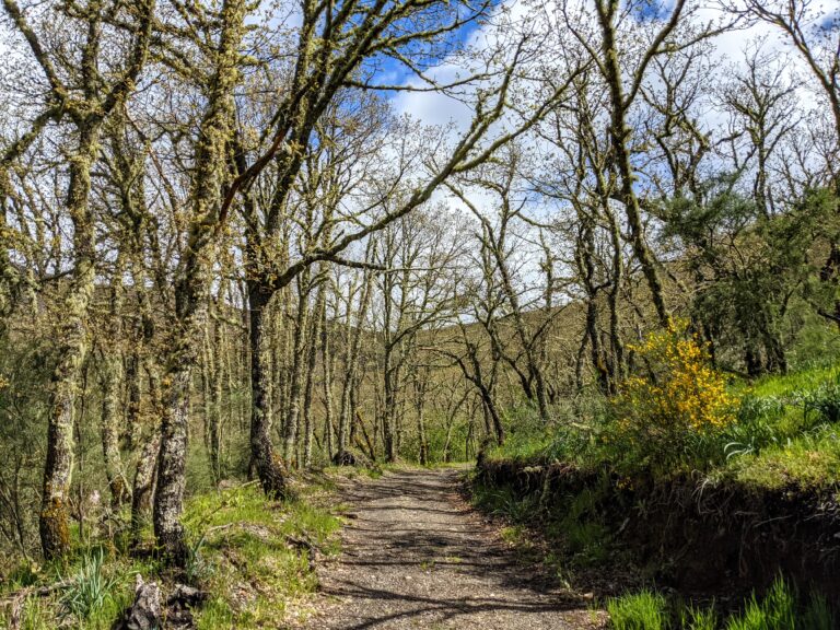 Sendero hacia la caseta