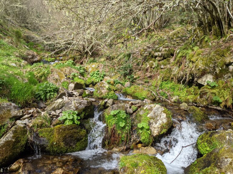 Detalle del valle de Bubín