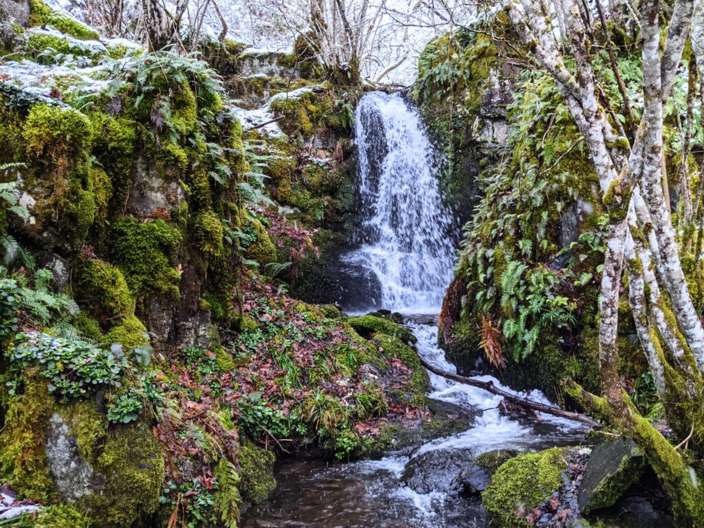 Cascada Arroyo Tejeo