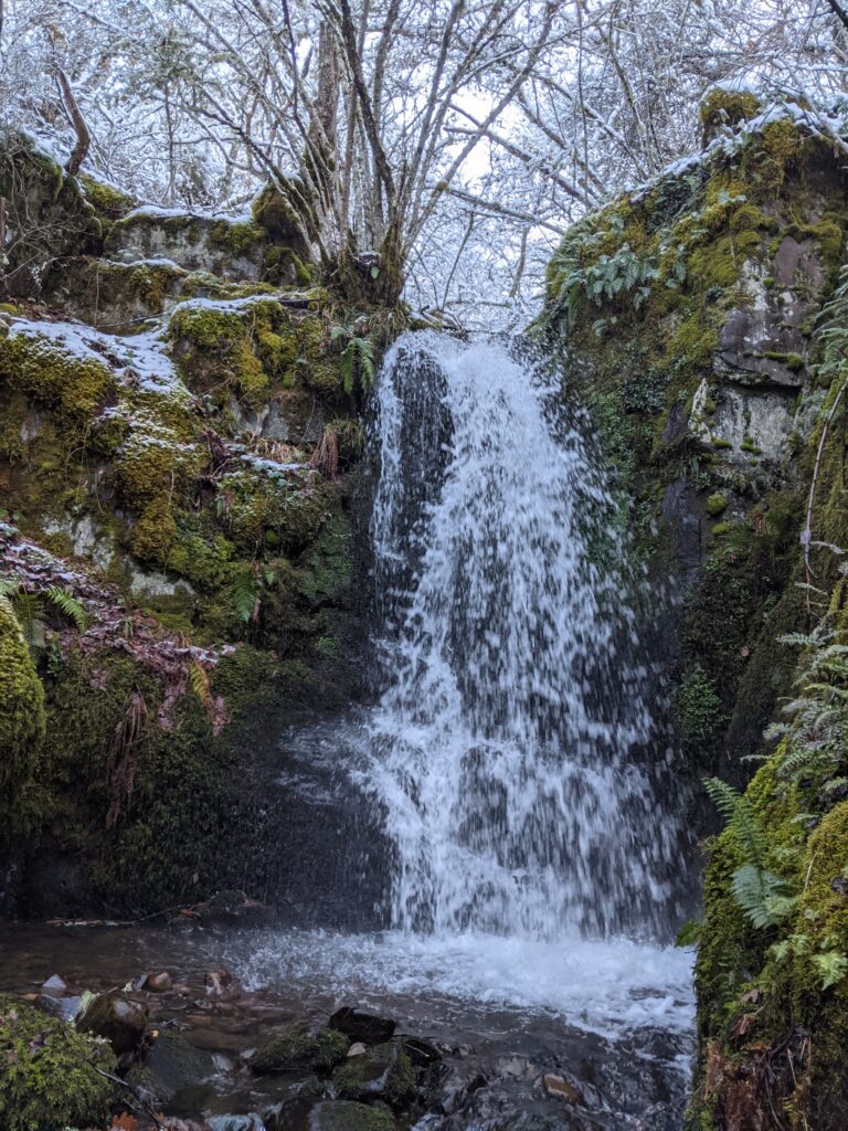 Pradera junto al río Bubín